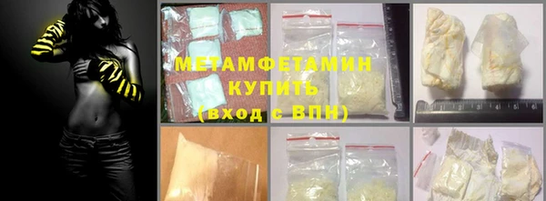 индика Елабуга